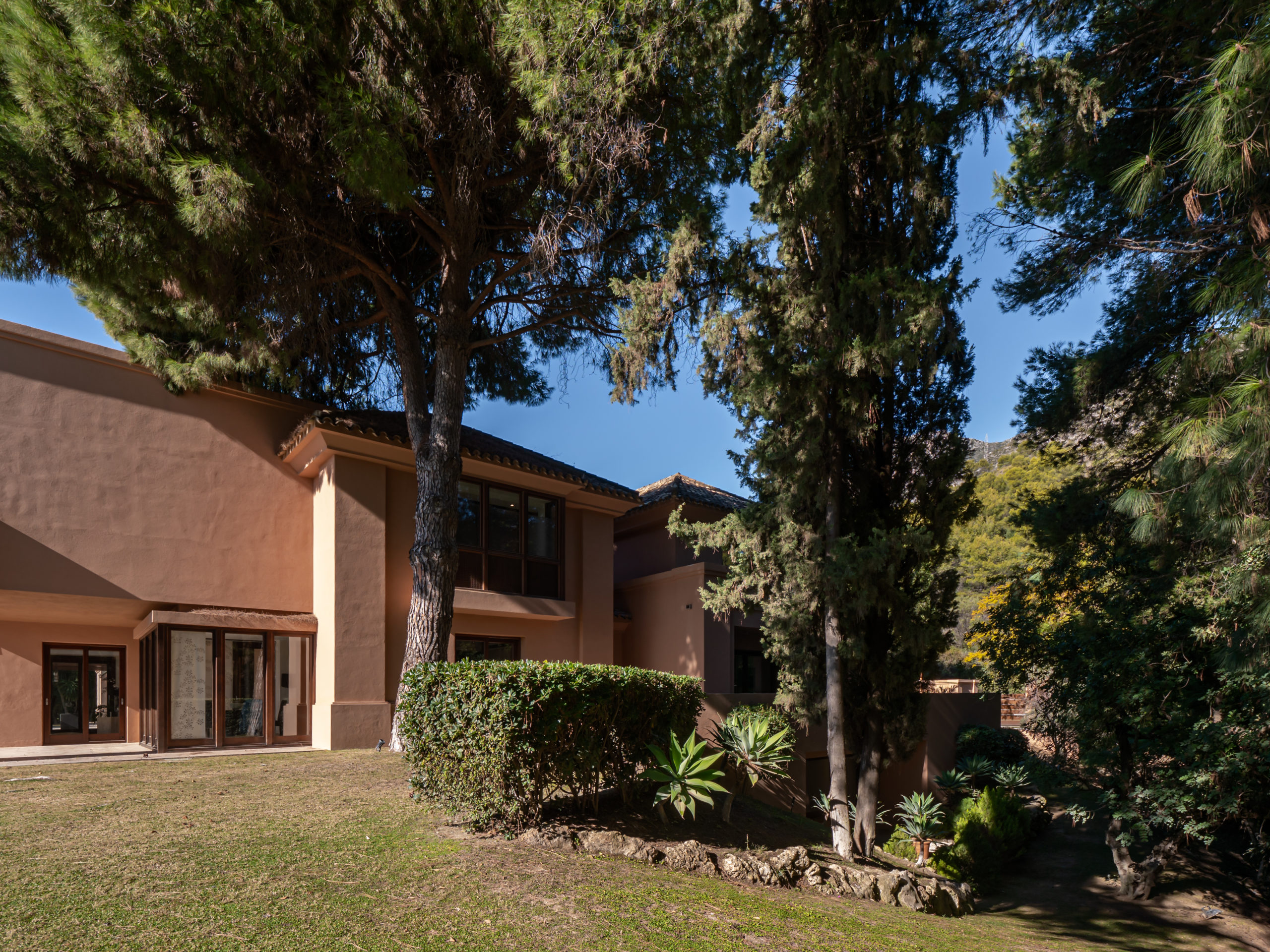 El Mirador