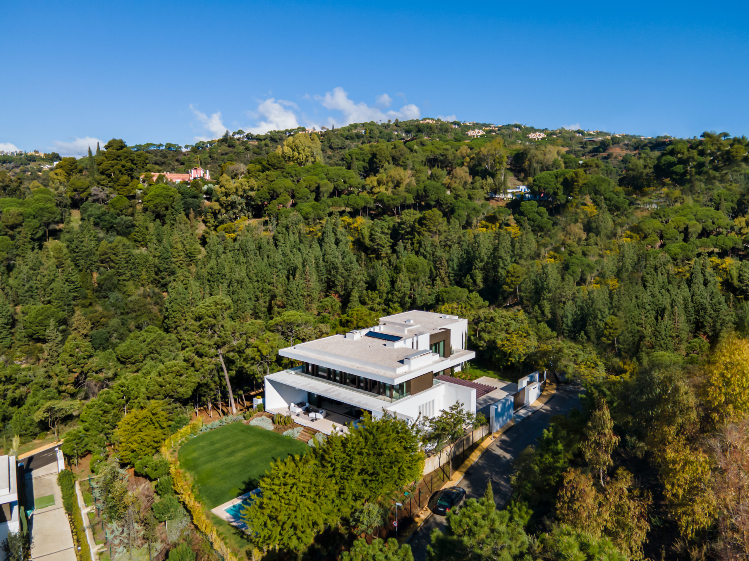 EL BOSQUE 6