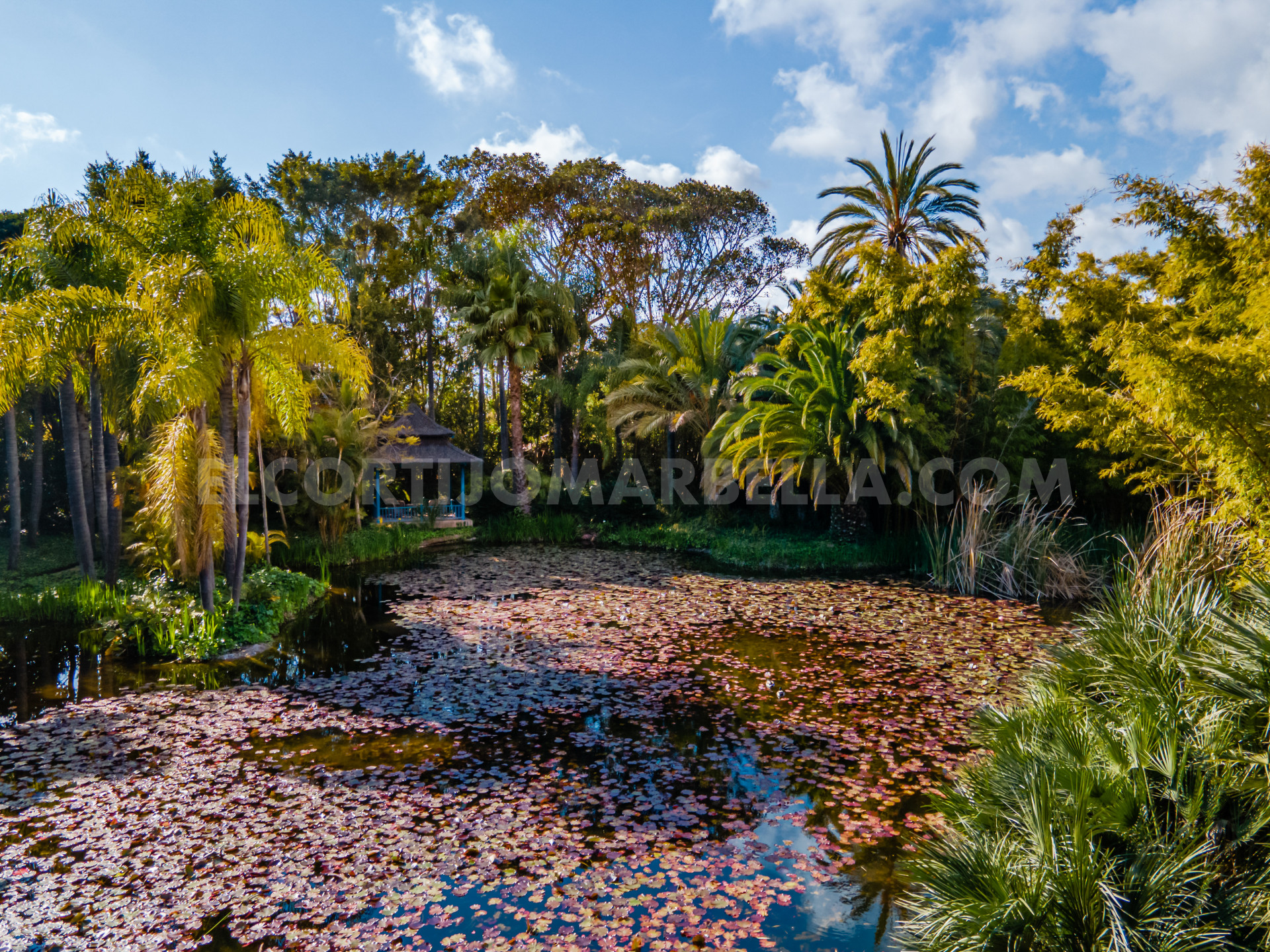 EL CORTIJO