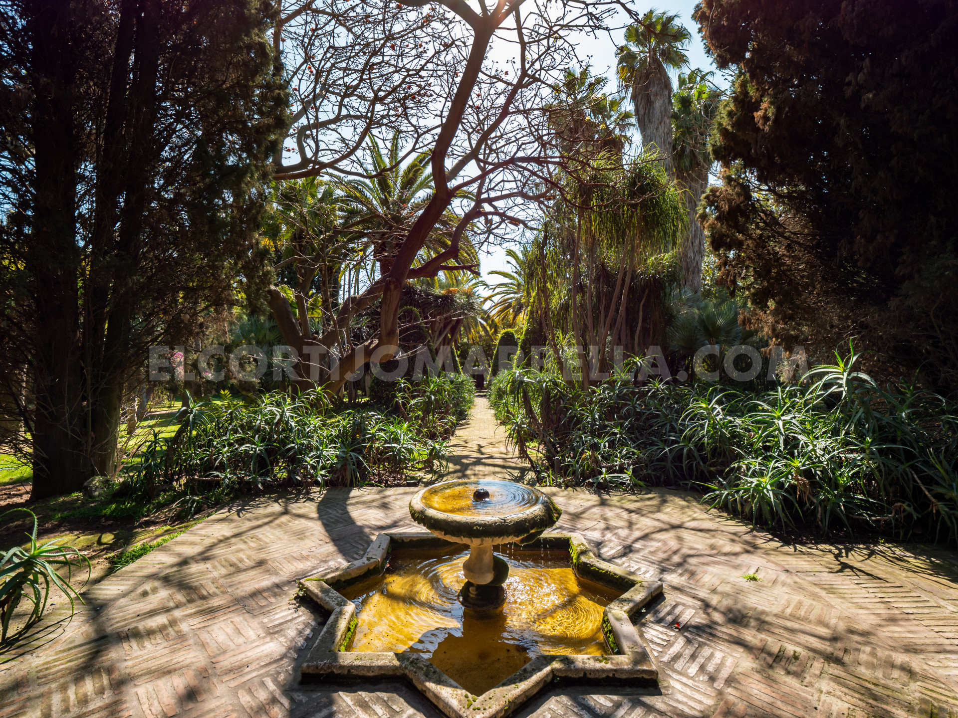 EL CORTIJO