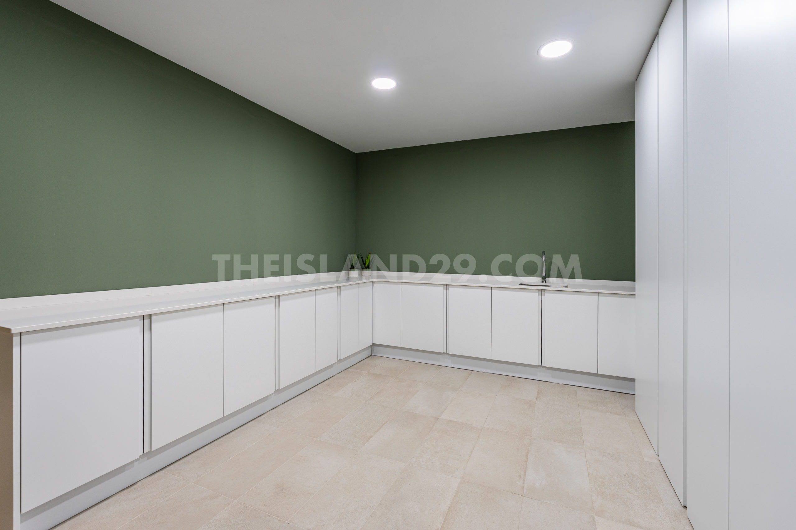 The Island 29