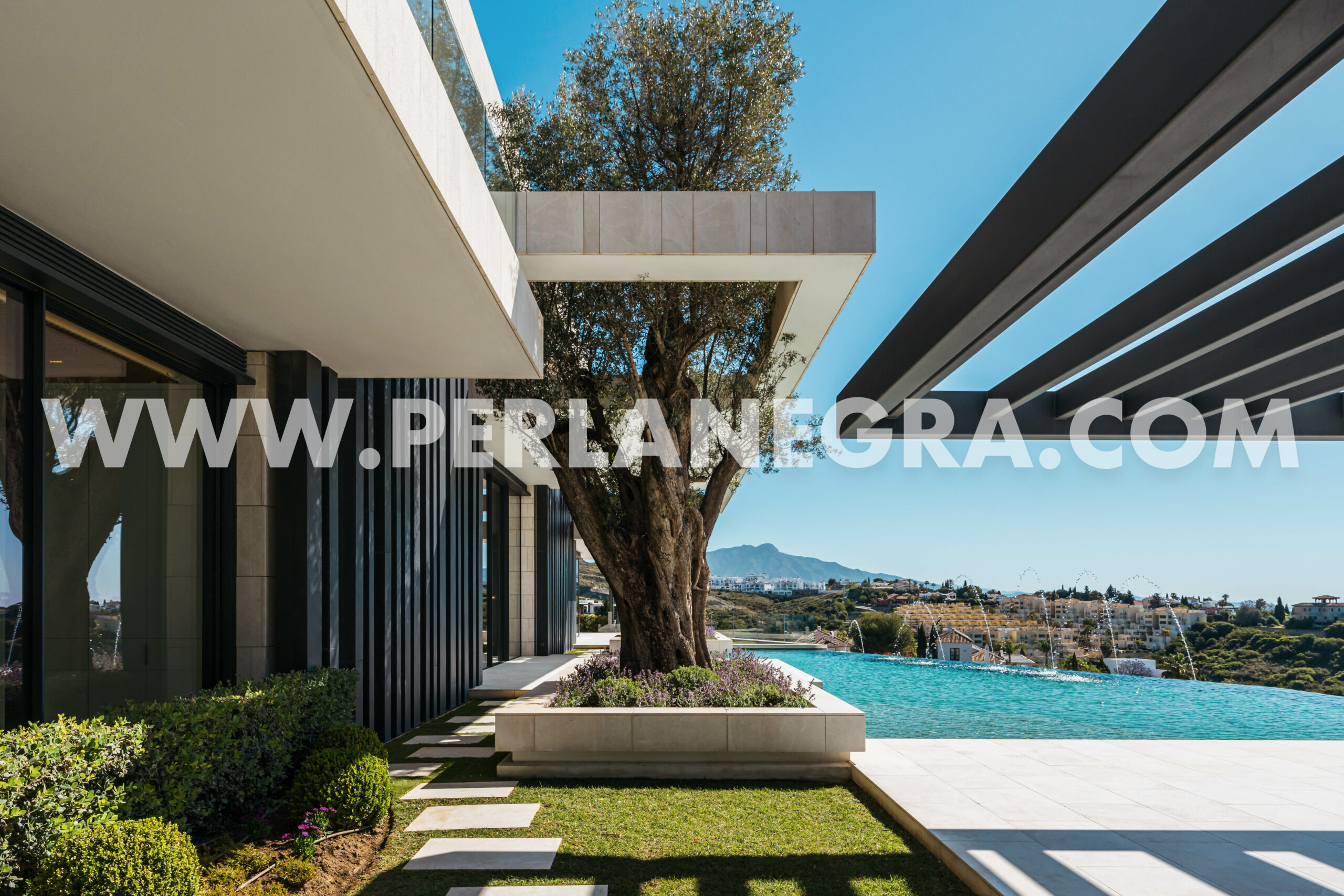 Perla Negra