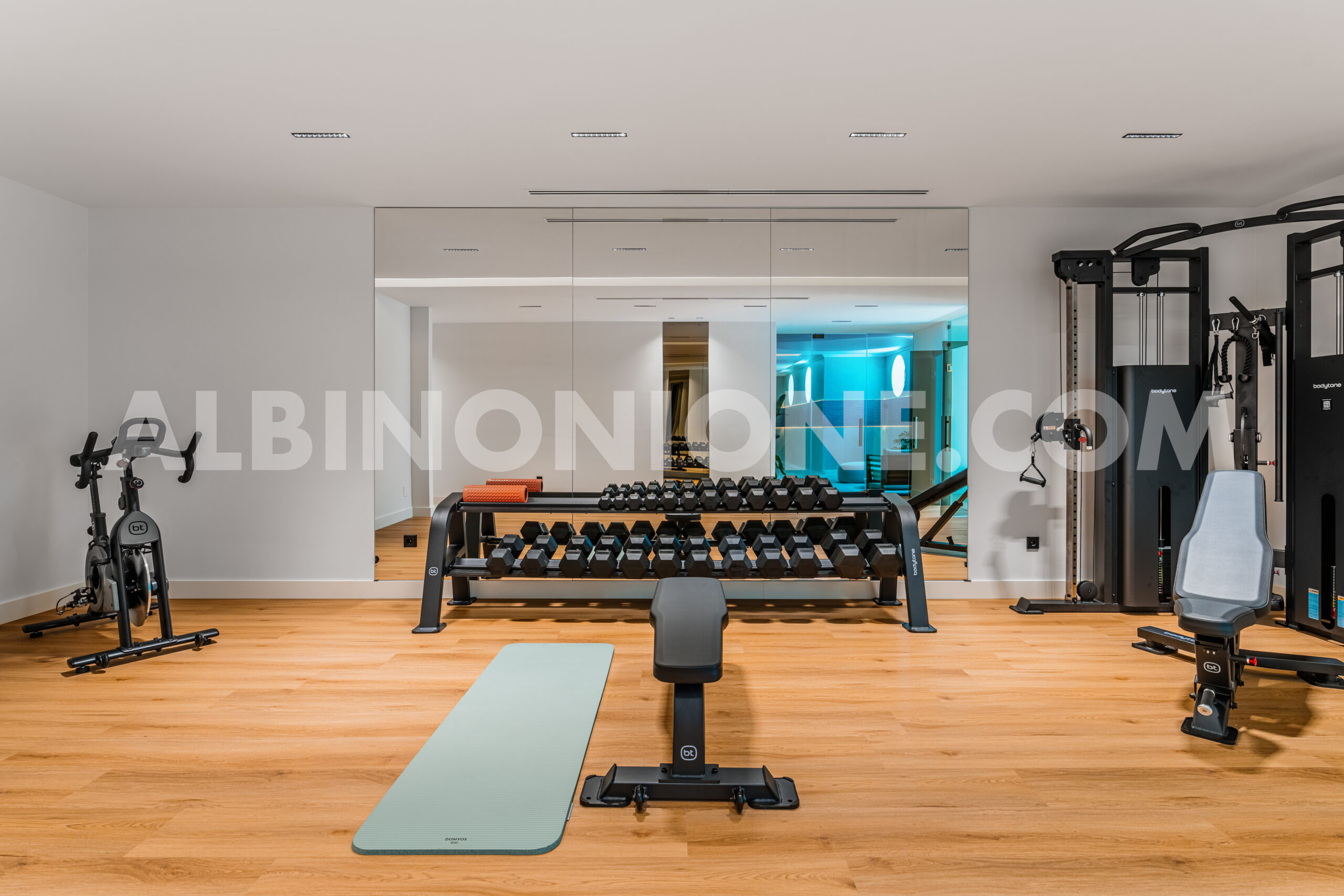 Albinoni One