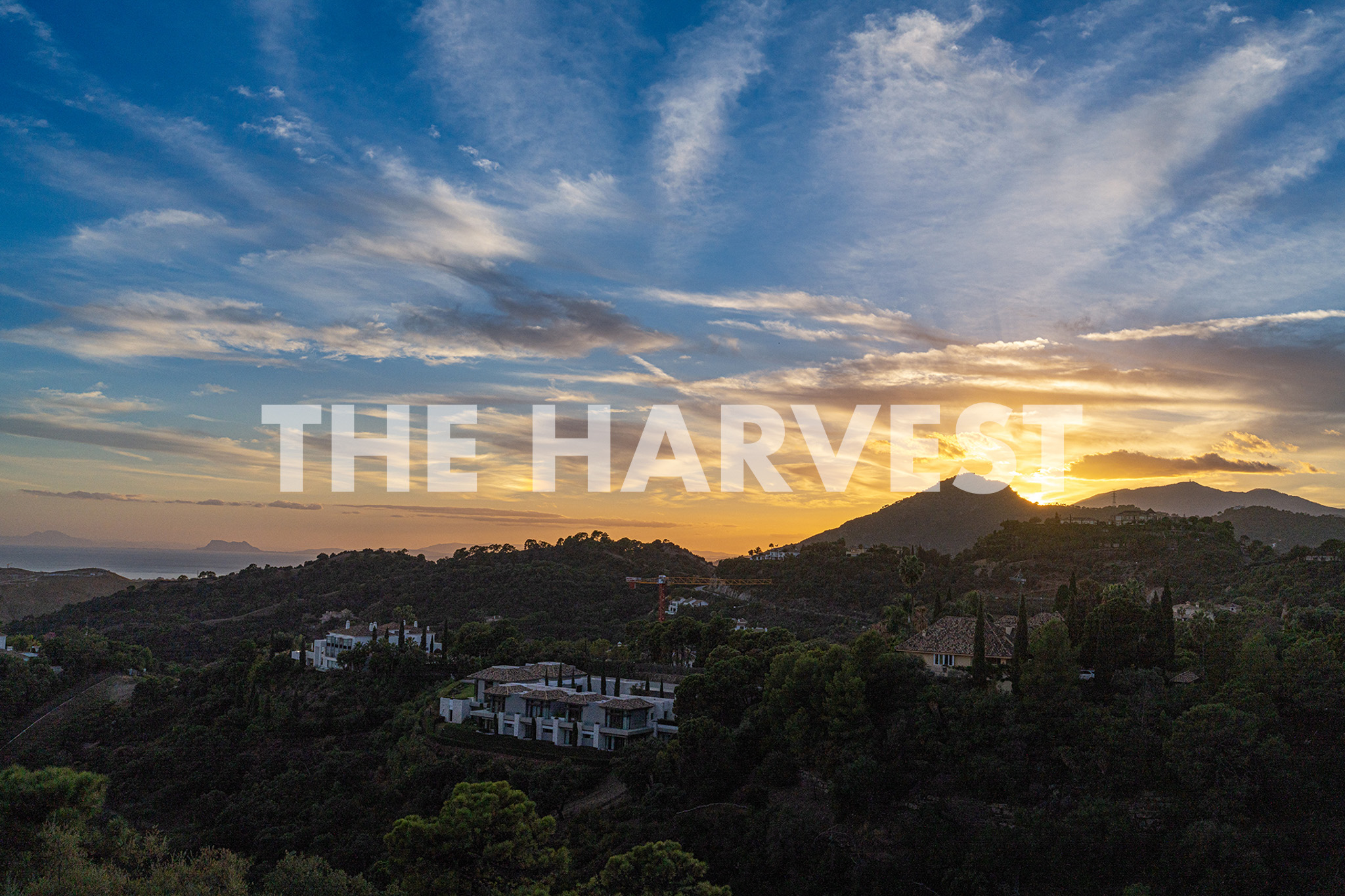 The Harvest