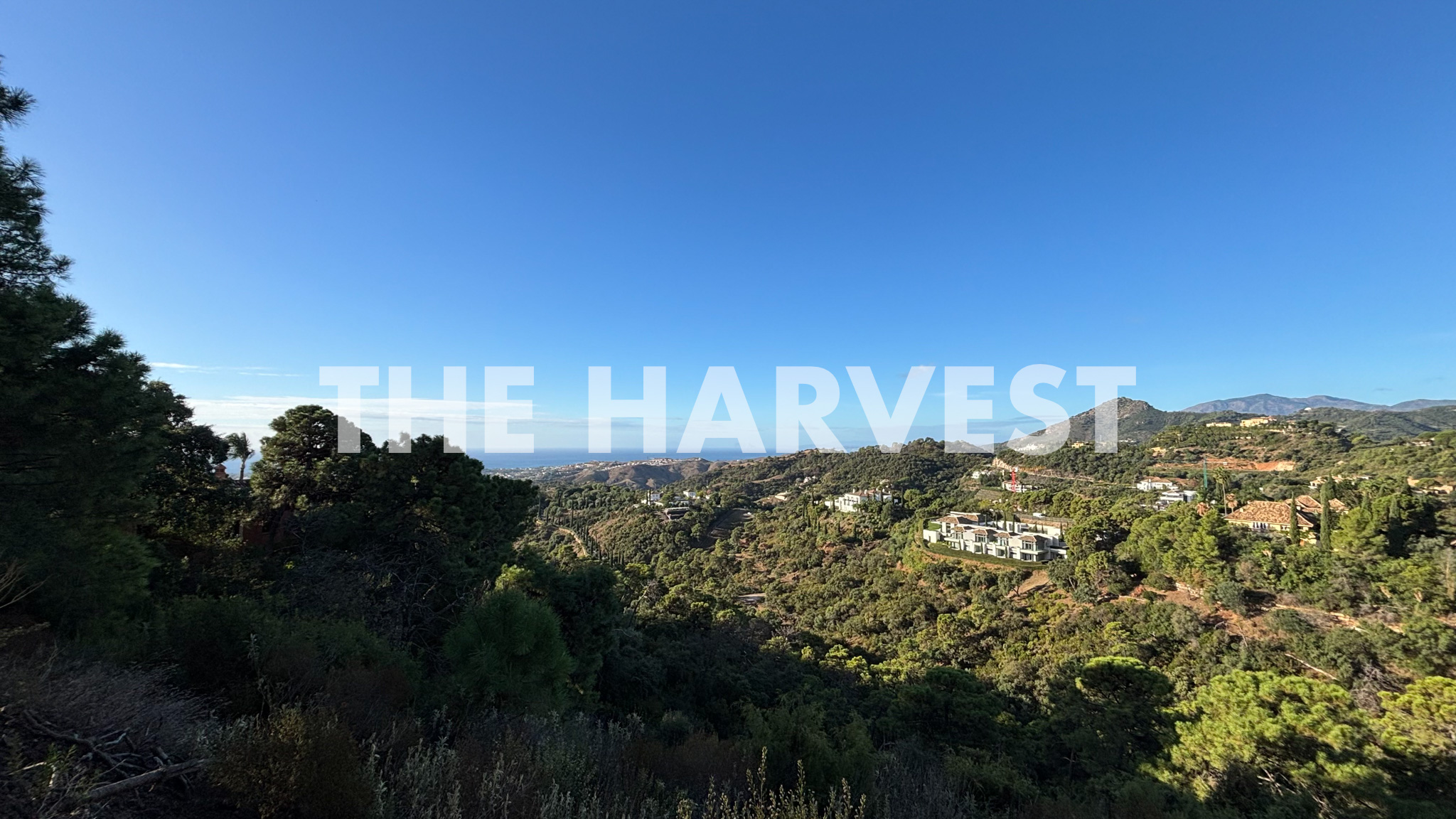 The Harvest