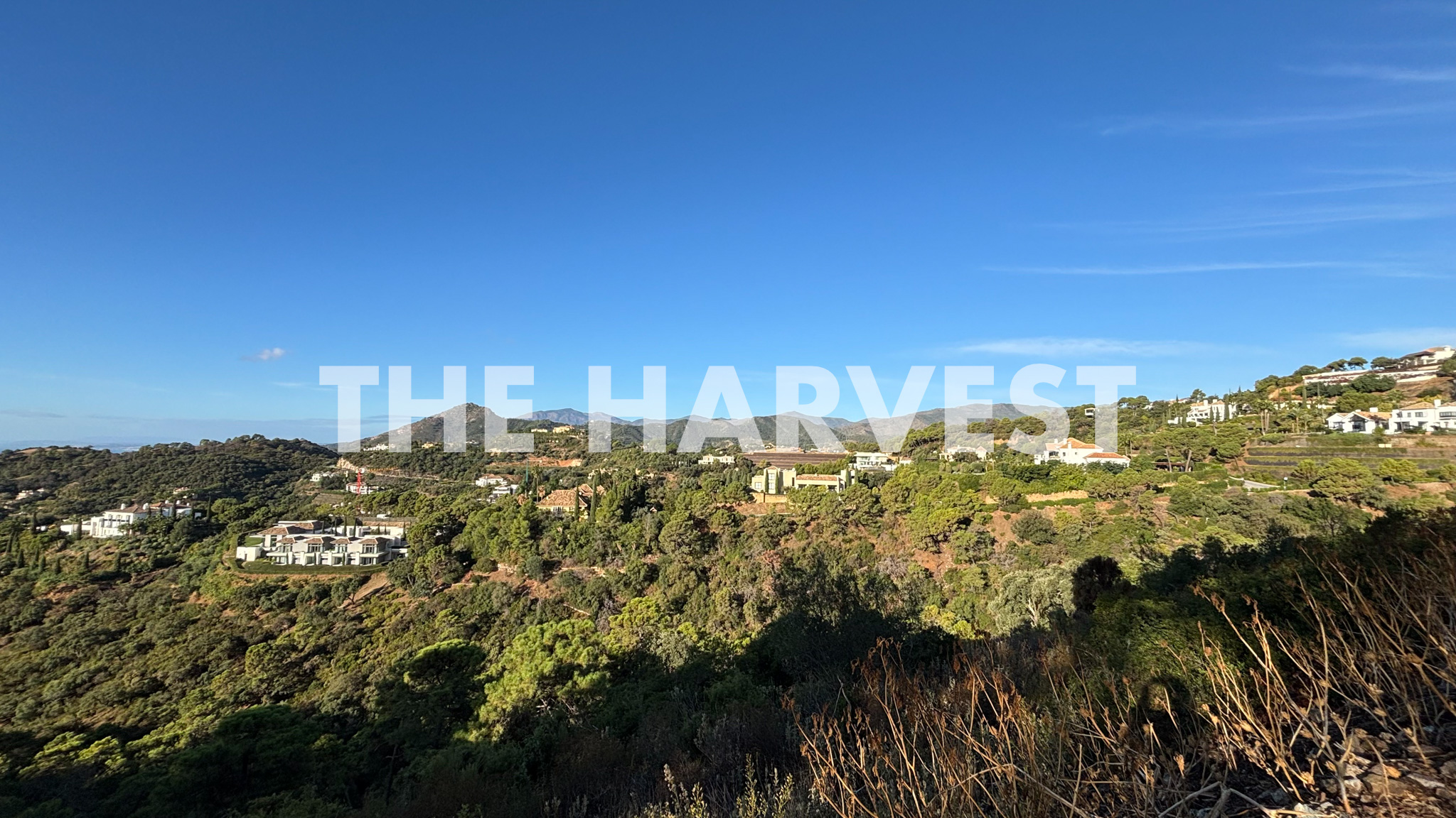 The Harvest
