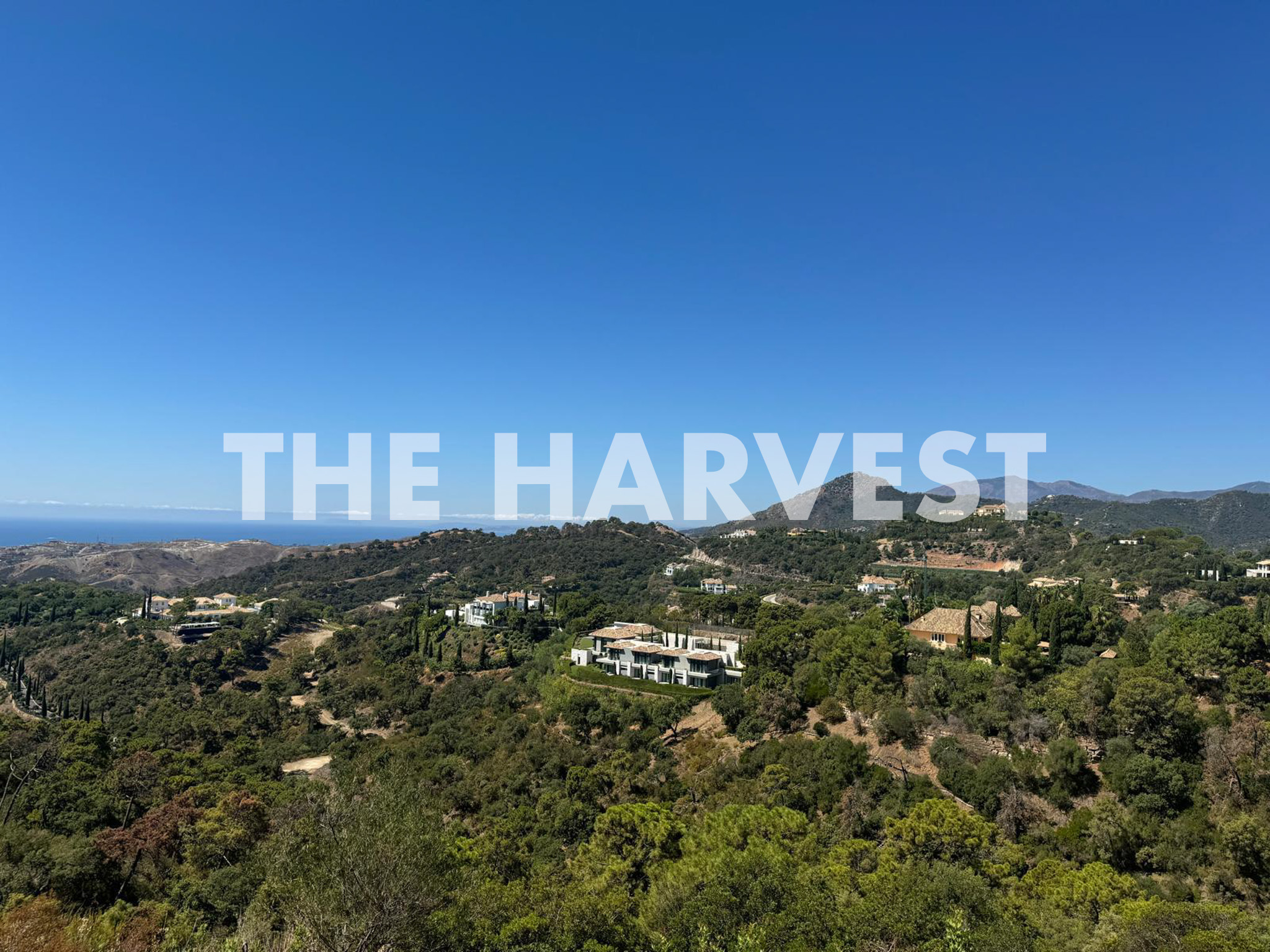 The Harvest