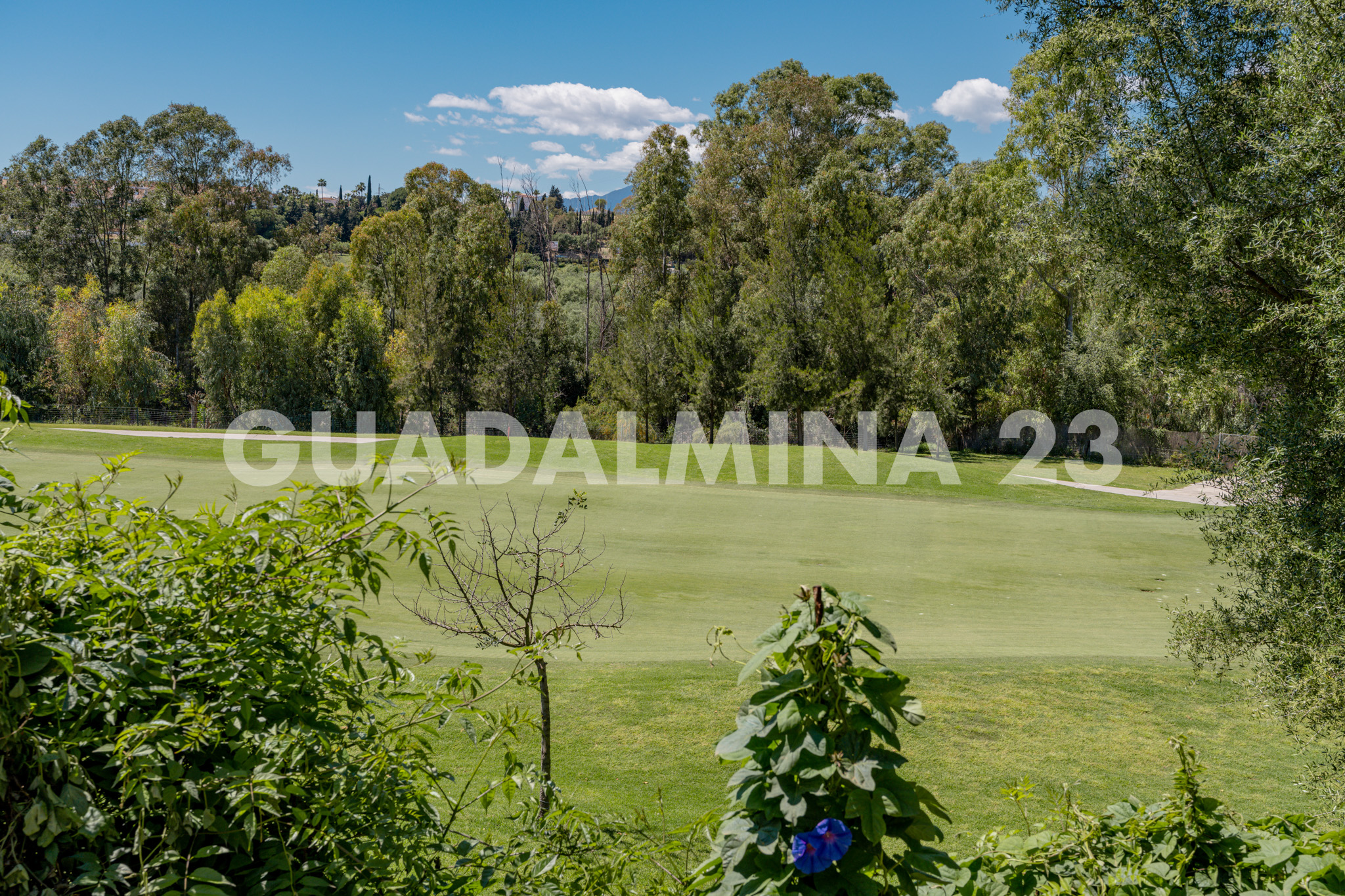 Guadalmina 23