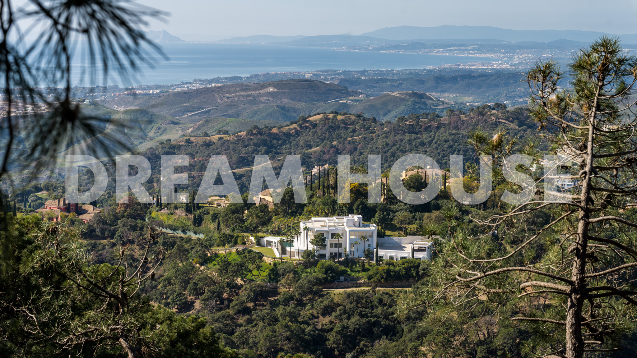 Dream House