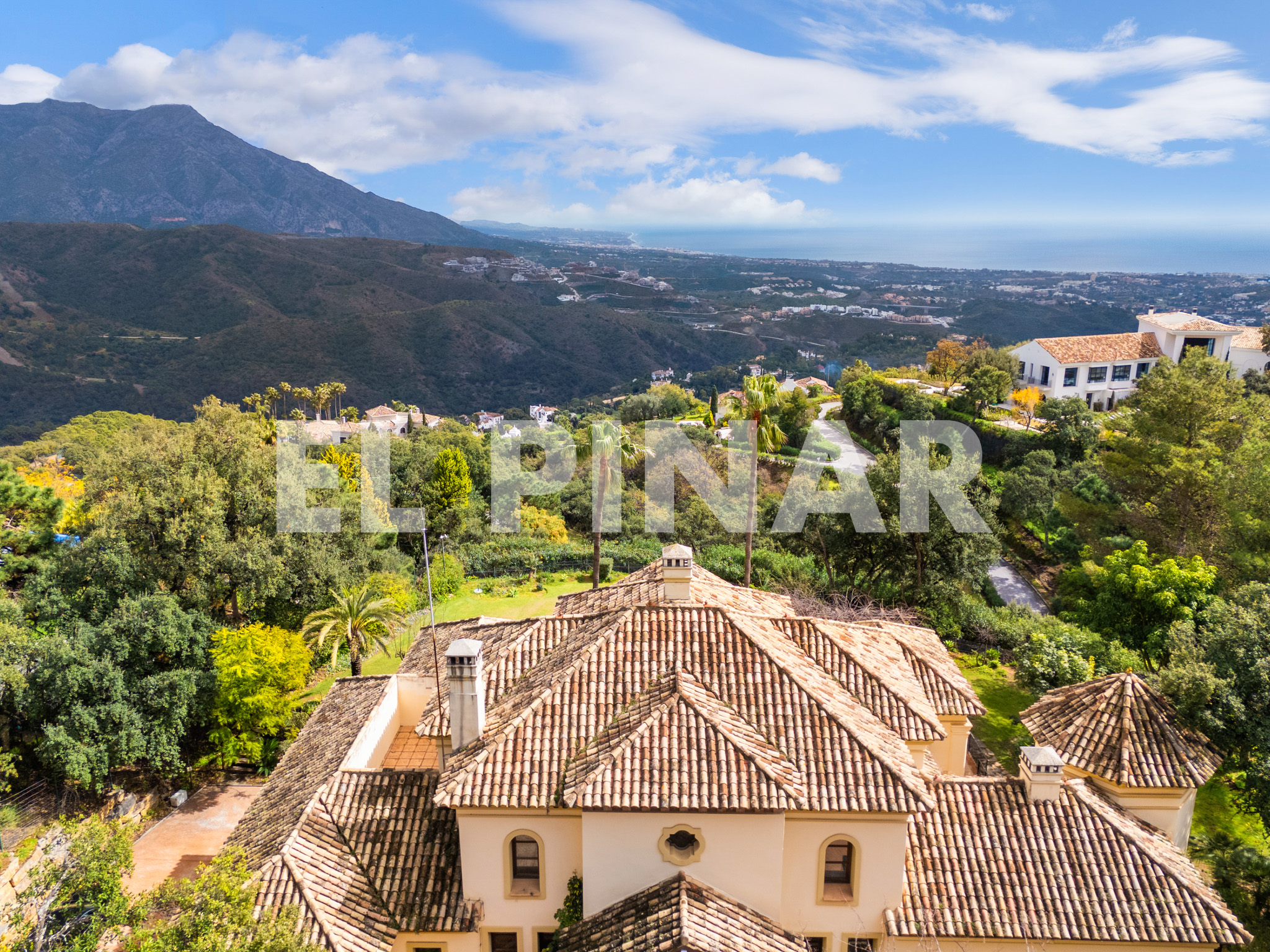 El Pinar