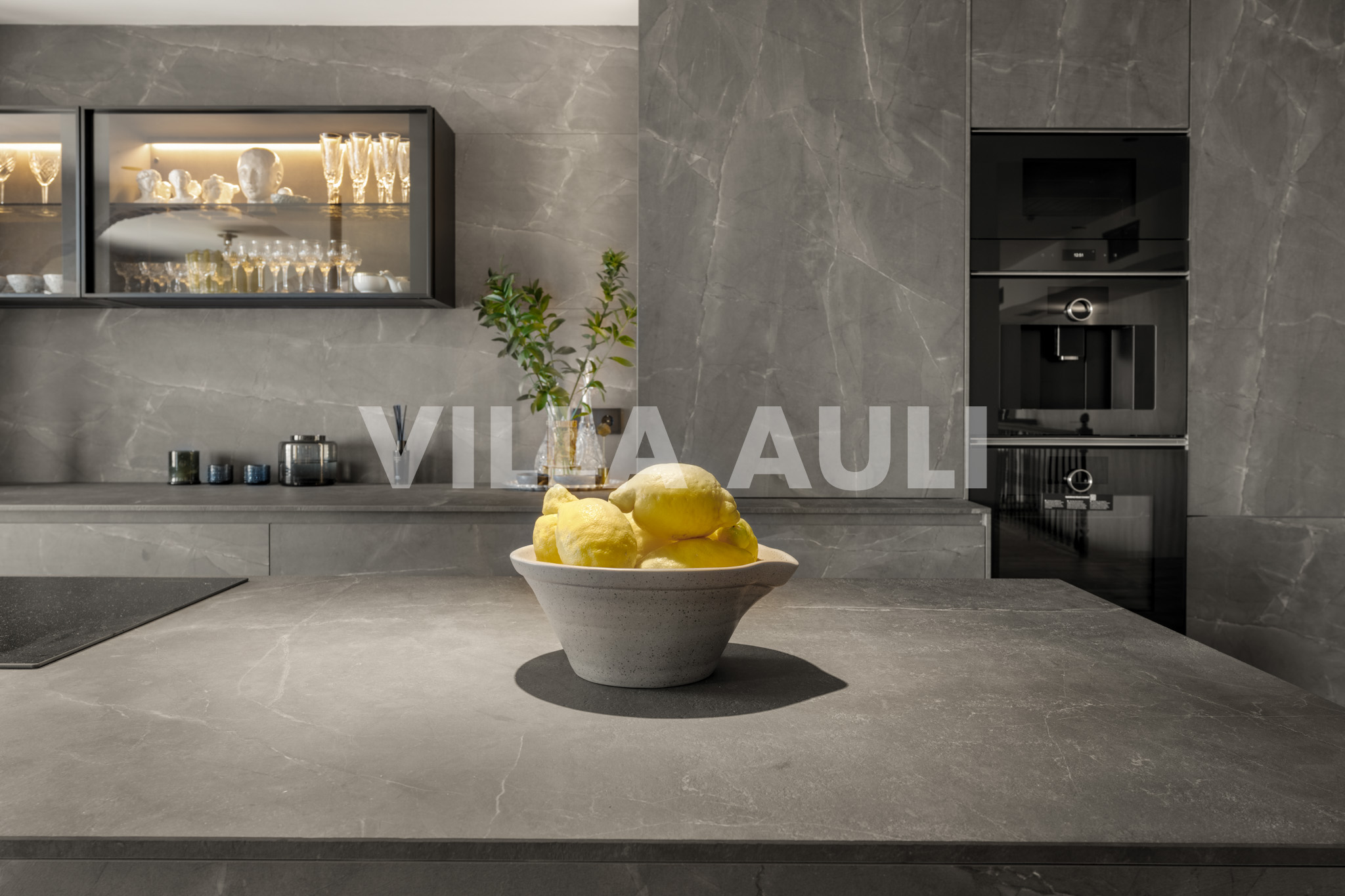 Villa Auli